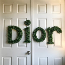Load image into Gallery viewer, "Dior" Grass Wall Decor